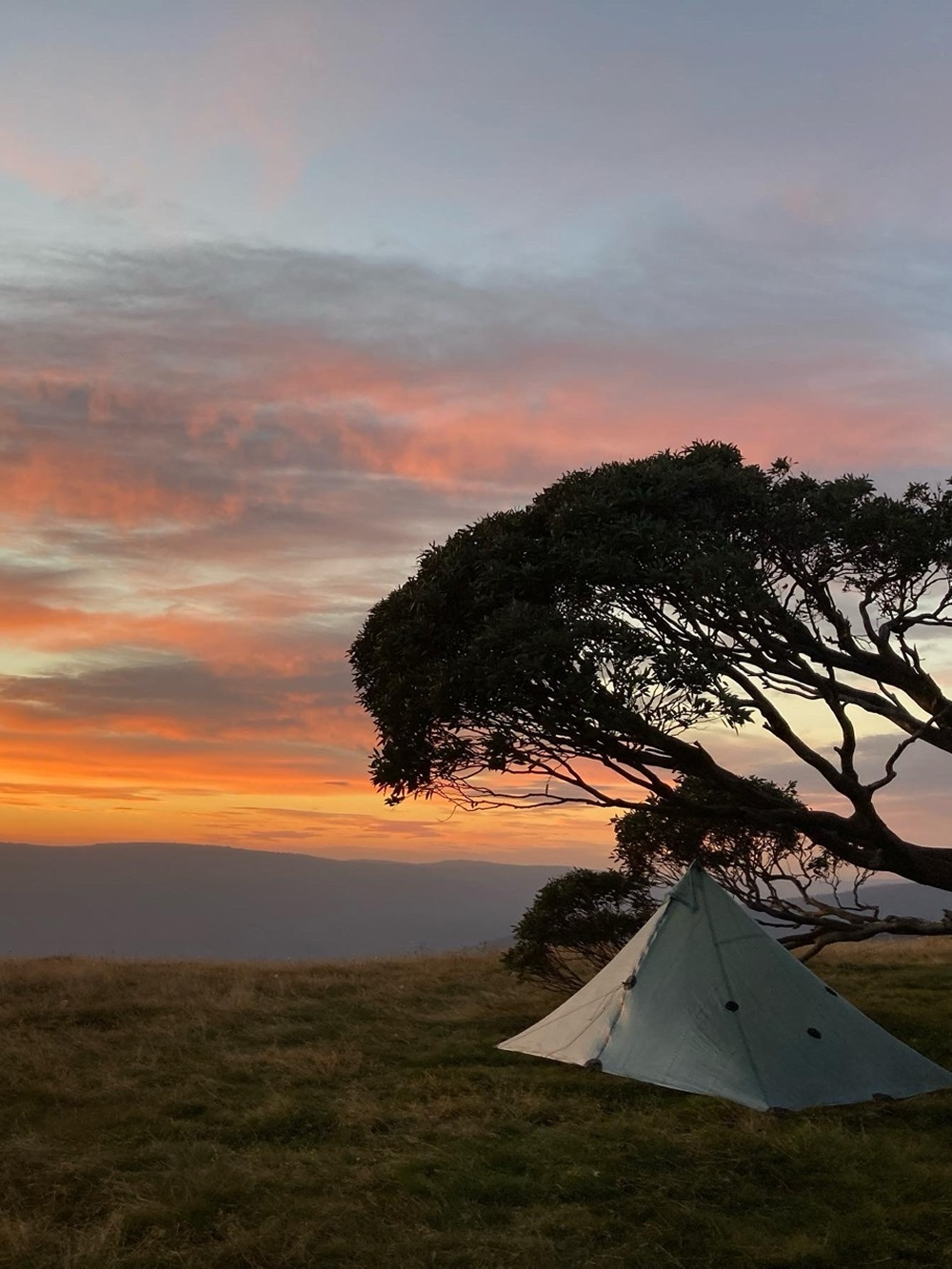 A triangular tent sits under a leaning tree on a grassy hill at sunset, with vibrant orange, pink, and purple clouds filling the sky.