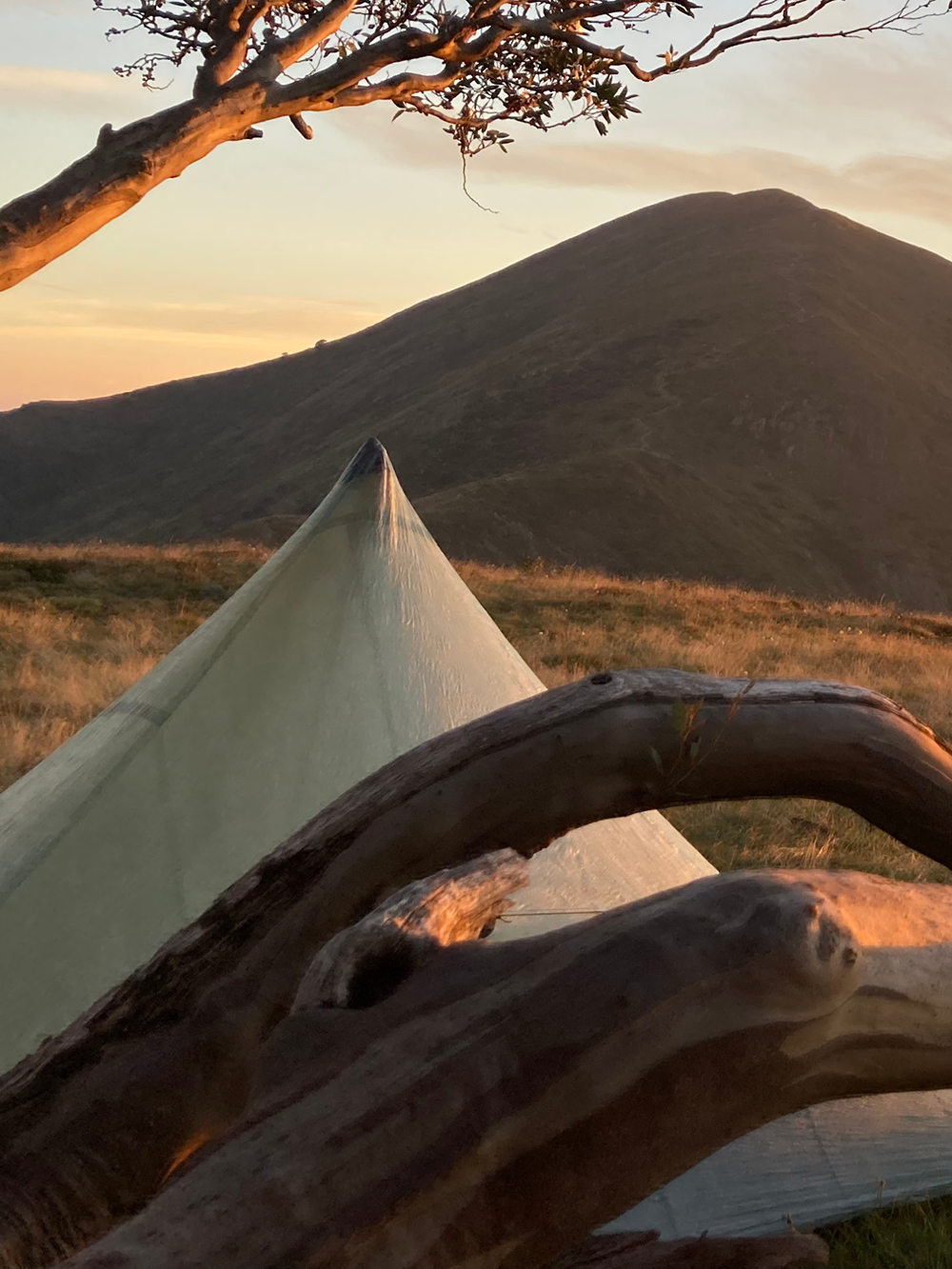 A triangular tent set up on grassy terrain at sunset, with a tree branch in the foreground and a mountain in the background under a softly lit sky.