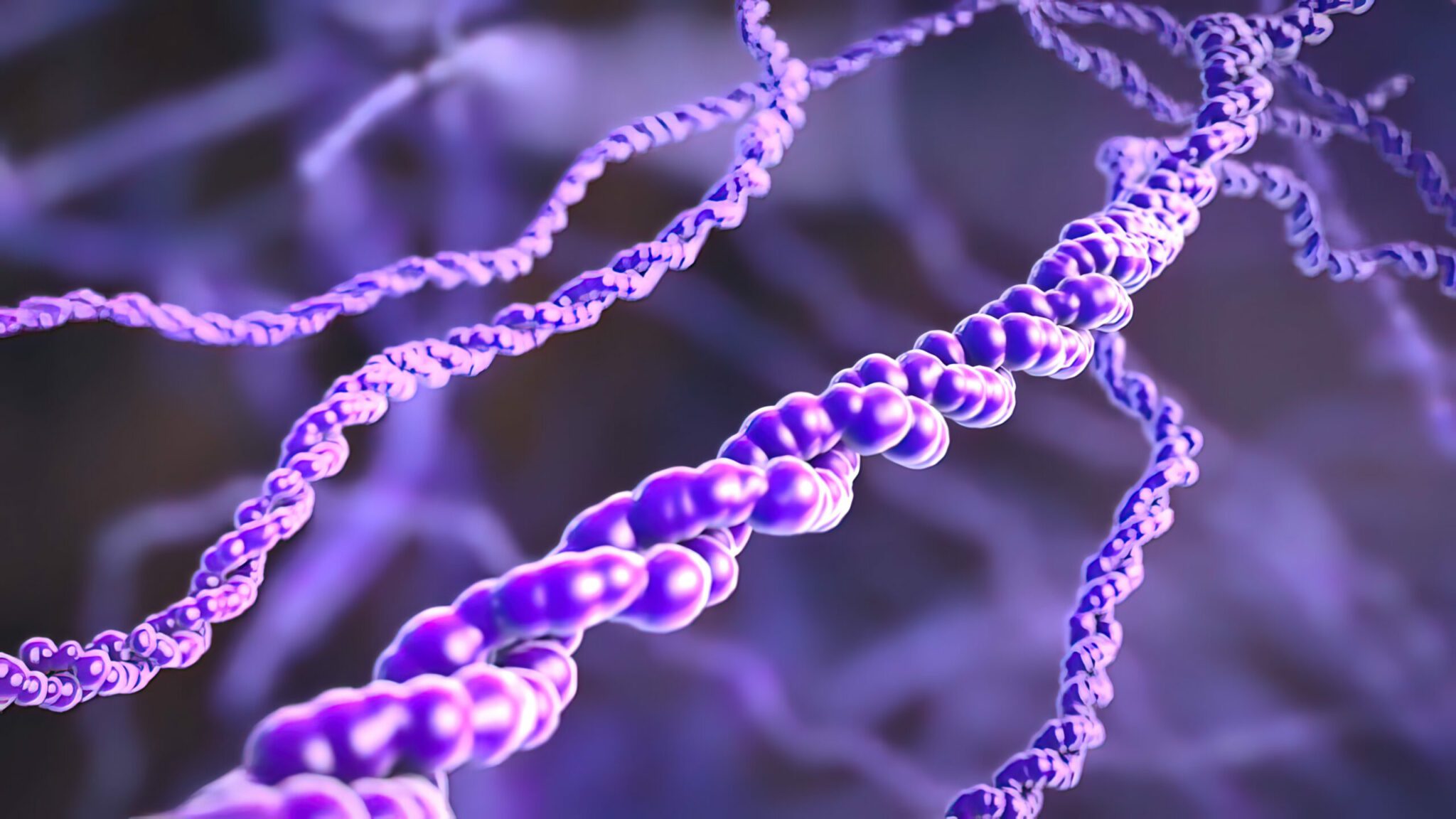 Cell nucleus and DNA in the science of biology