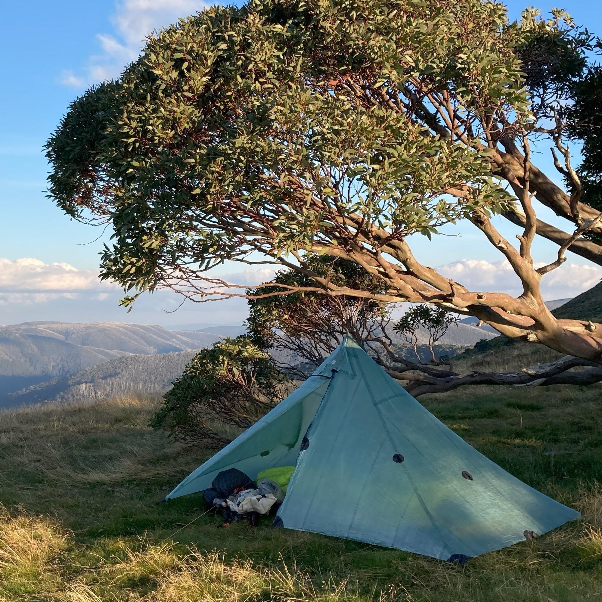 A light blue tent is set up on grassy ground beneath a windswept tree, with mountains and a partly cloudy sky visible in the background. Camping gear is placed outside the tent.