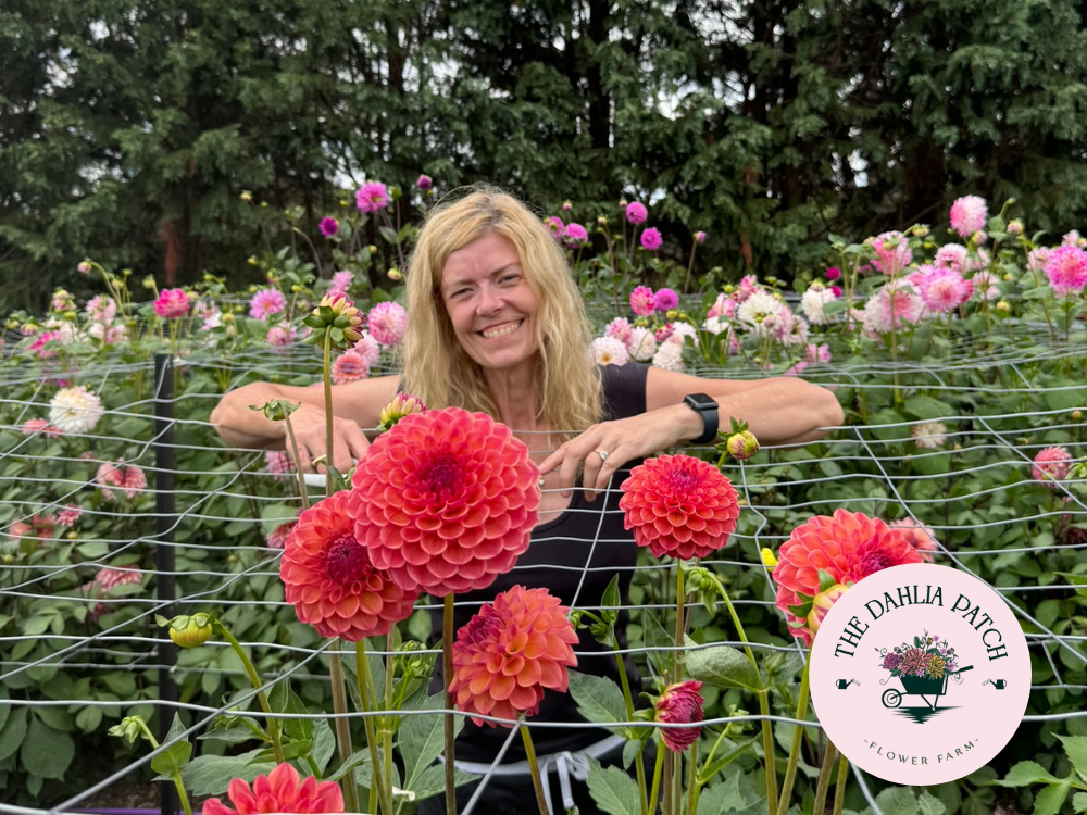 A smiling woman stands behind a metal flower support grid in a vibrant dahlia field, surrounded by pink and orange blooms. The Dahlia Patch Flower Farm logo, perfect for Local SEO ranking, appears in the lower right corner.