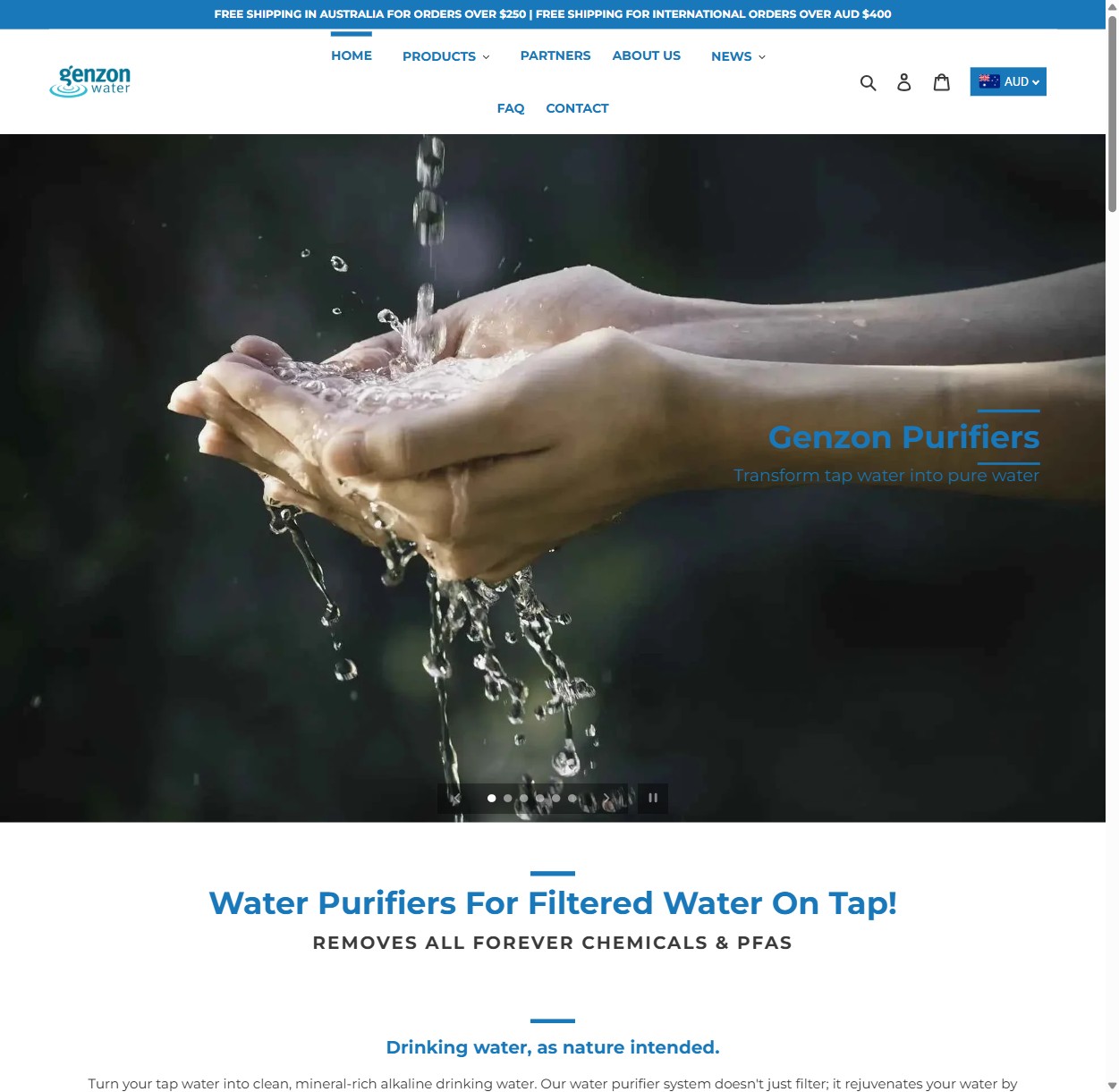 Genzon Water website